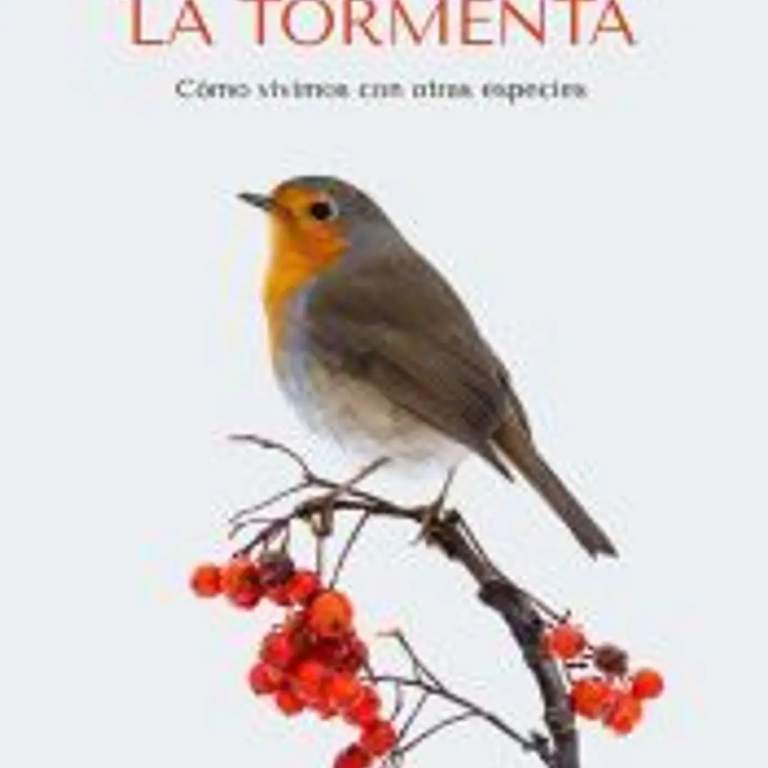 Entre la luz y la tormenta 1