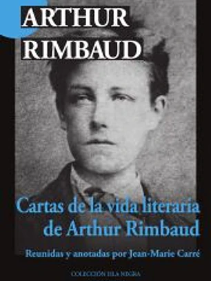 Cartas de la vida literaria: Reunidas y anotadas por Jean-Marie Carré