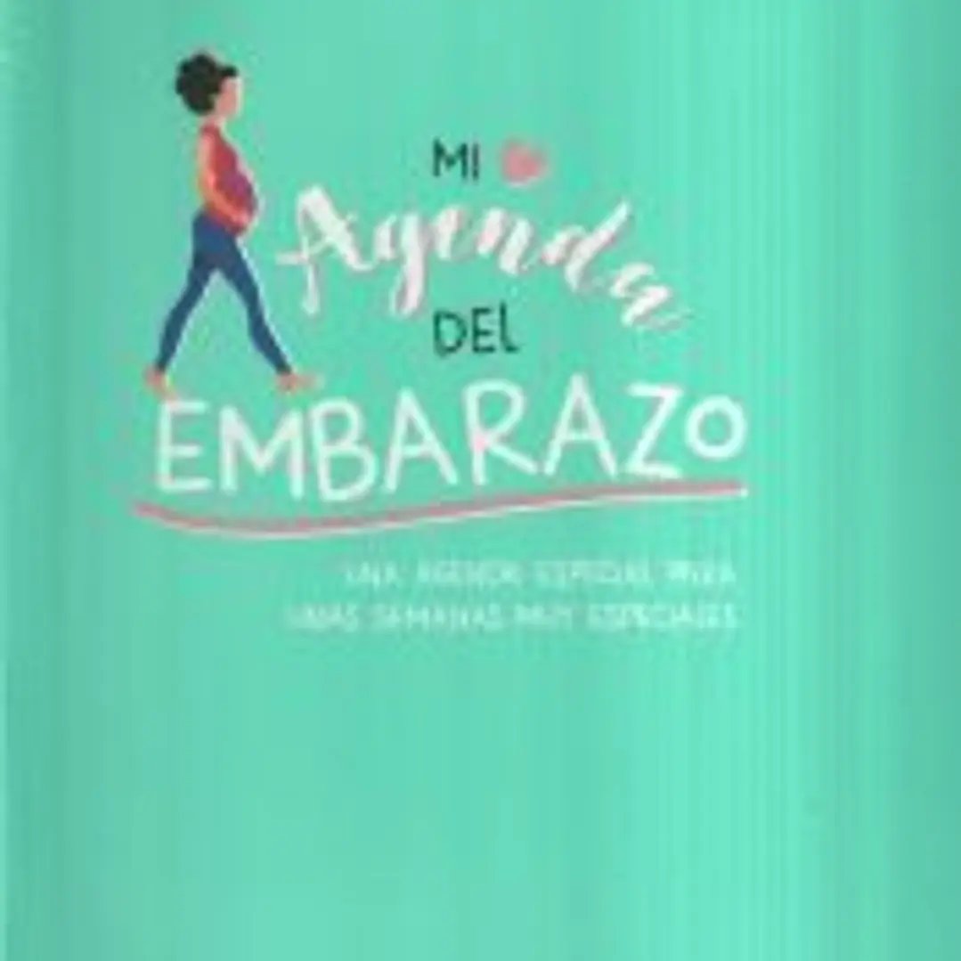Mi agenda del embarazo 1