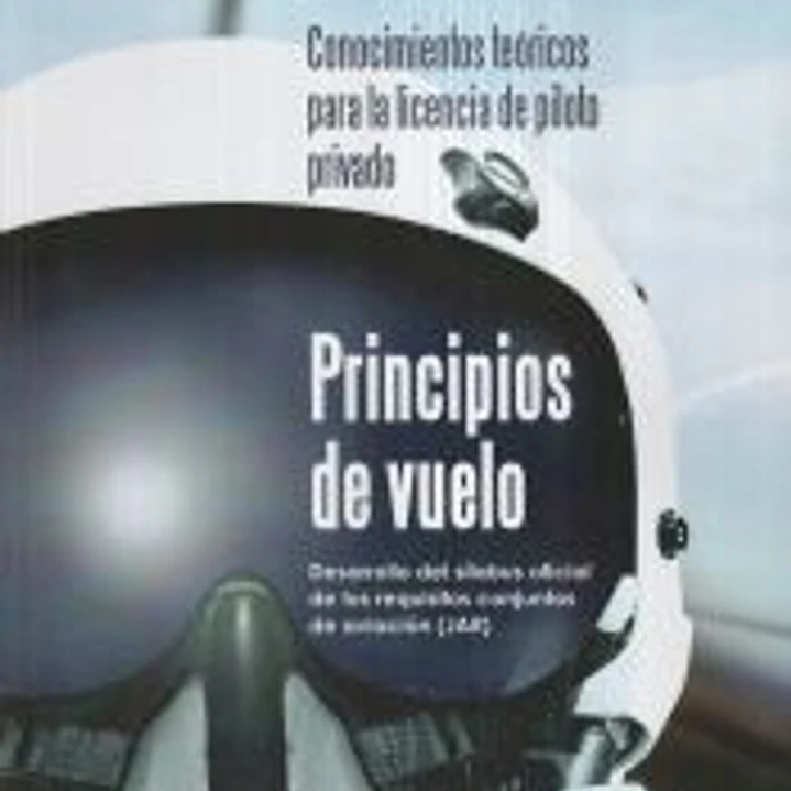 PRINCIPIOS DE VUELO 1