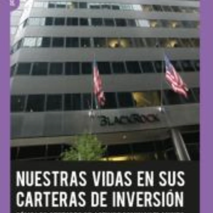 Nuestras vidas en sus carteras de inversión.: Cómo los gestores de activos dominan el mundo 1
