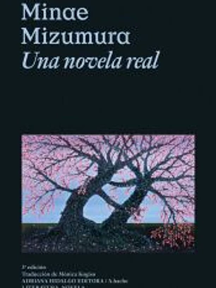 UNA NOVELA REAL