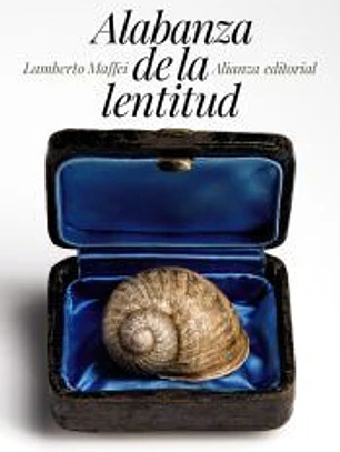 Alabanza de la lentitud
