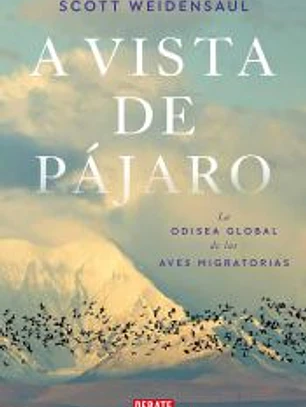 A vista de pájaro