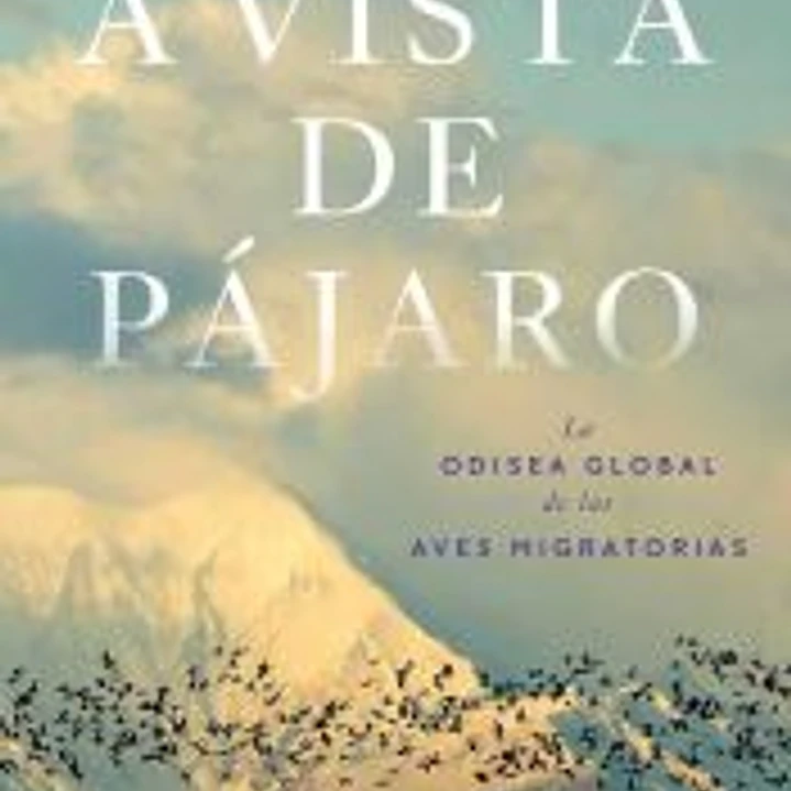 A vista de pájaro 1