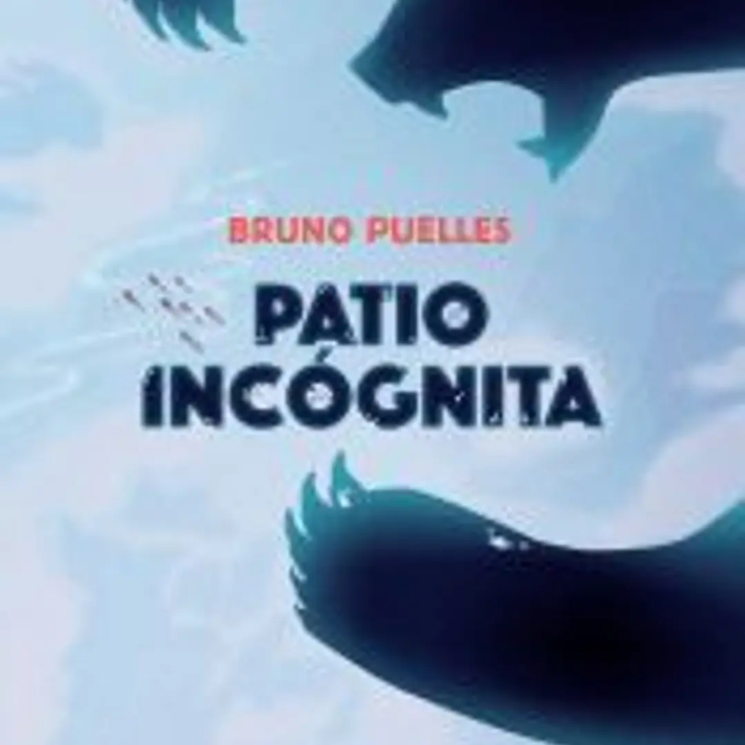 Patio incógnita 1