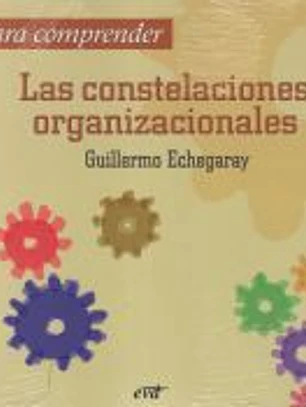 Para comprender las constelaciones organizacionales