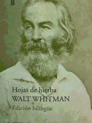 HOJAS DE HIERBA