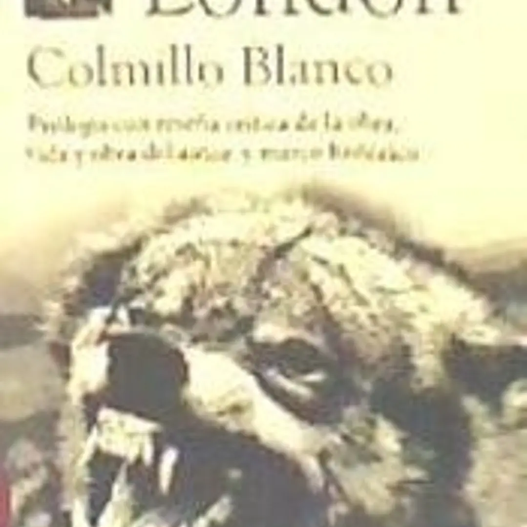 Colmillo Blanco 1