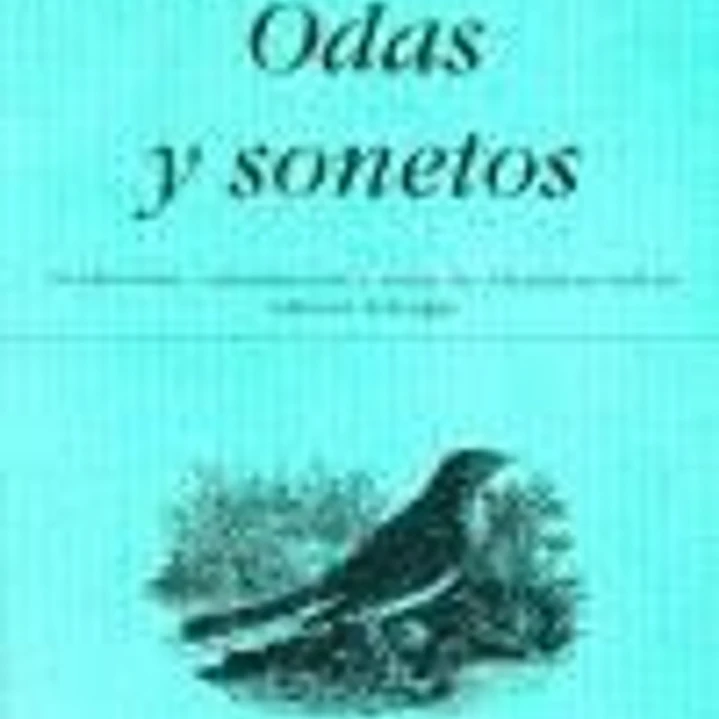 Odas y sonetos 1