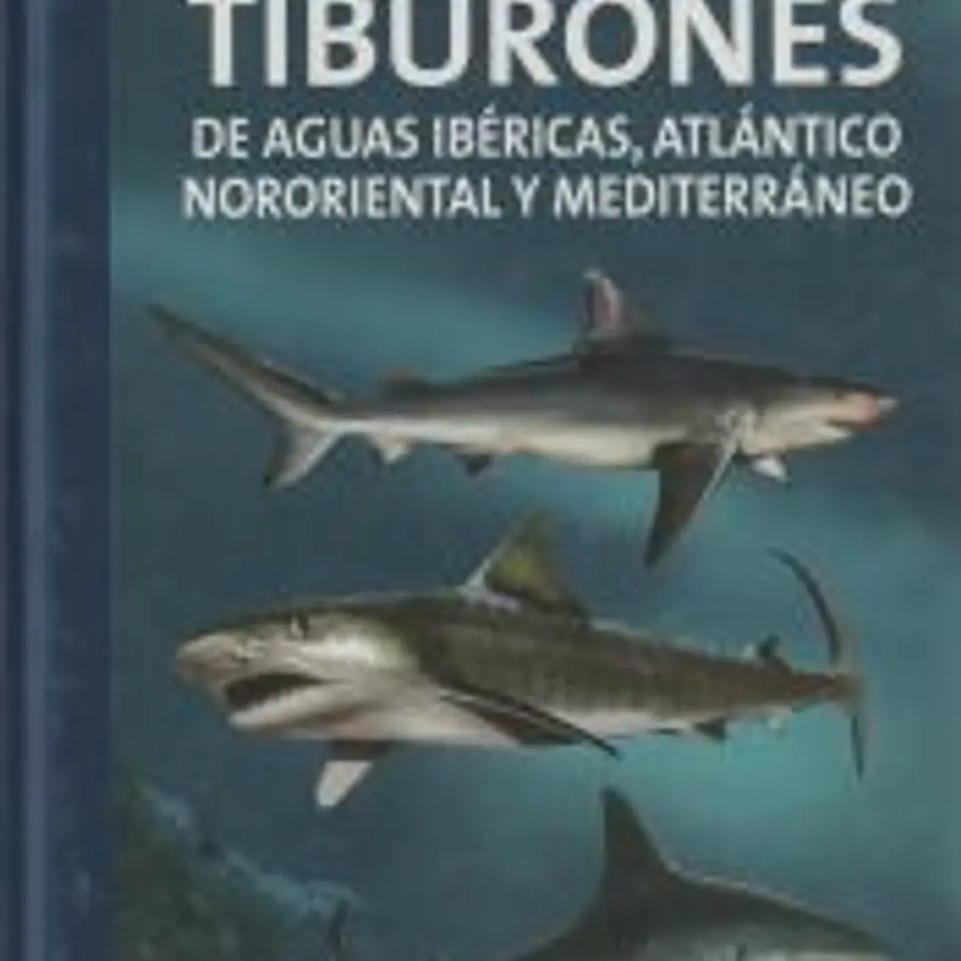 GUÍA DE LOS TIBURONES DE AGUAS IBÉRICAS, ATLÁNTICO NORORIENTAL Y MEDITERRÁNEO 1