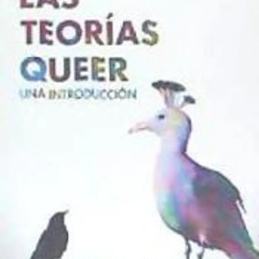 Las teorías queer. . Una introducción 1