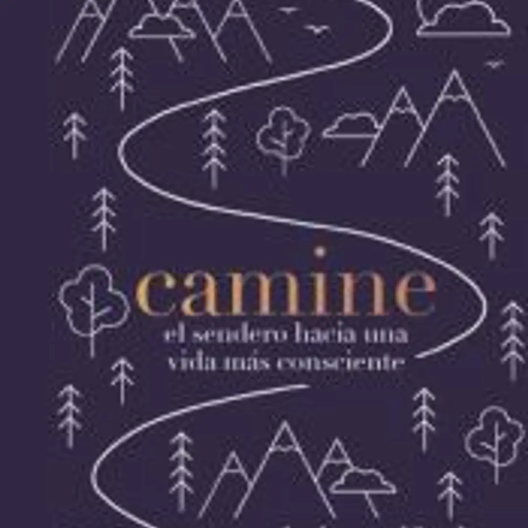 Camine 1