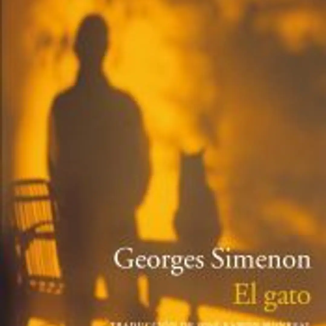 El gato 1