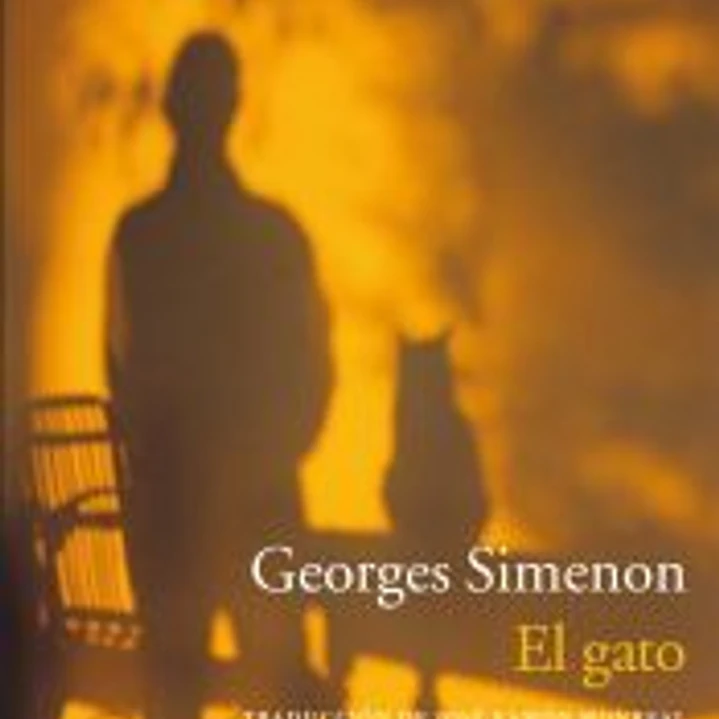 El gato 1