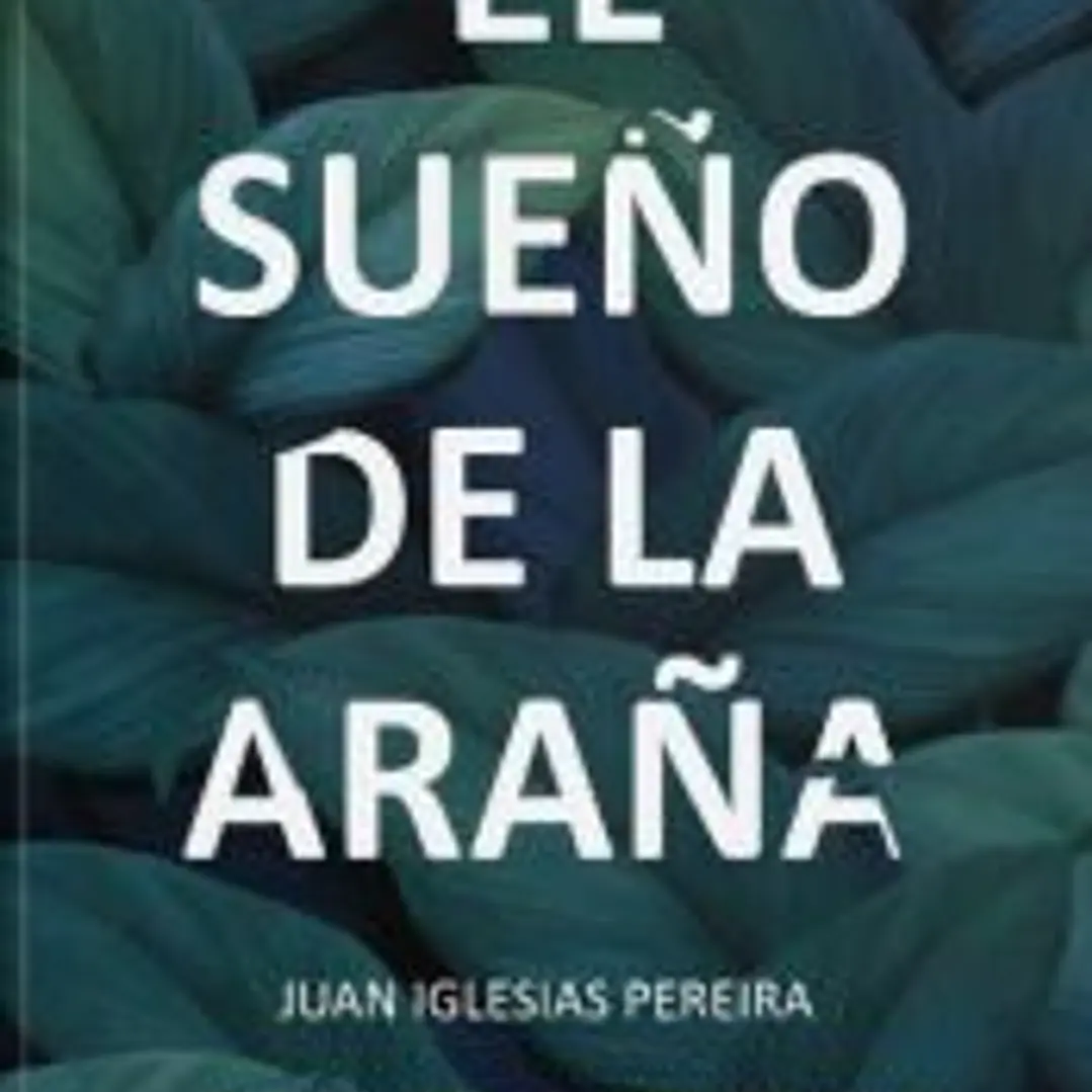 EL SUEÑO DE LA ARAÑA 1
