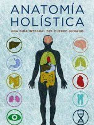 Anatomía holística