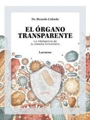 El órgano transparente. La inteligencia de tu sistema inmunitario