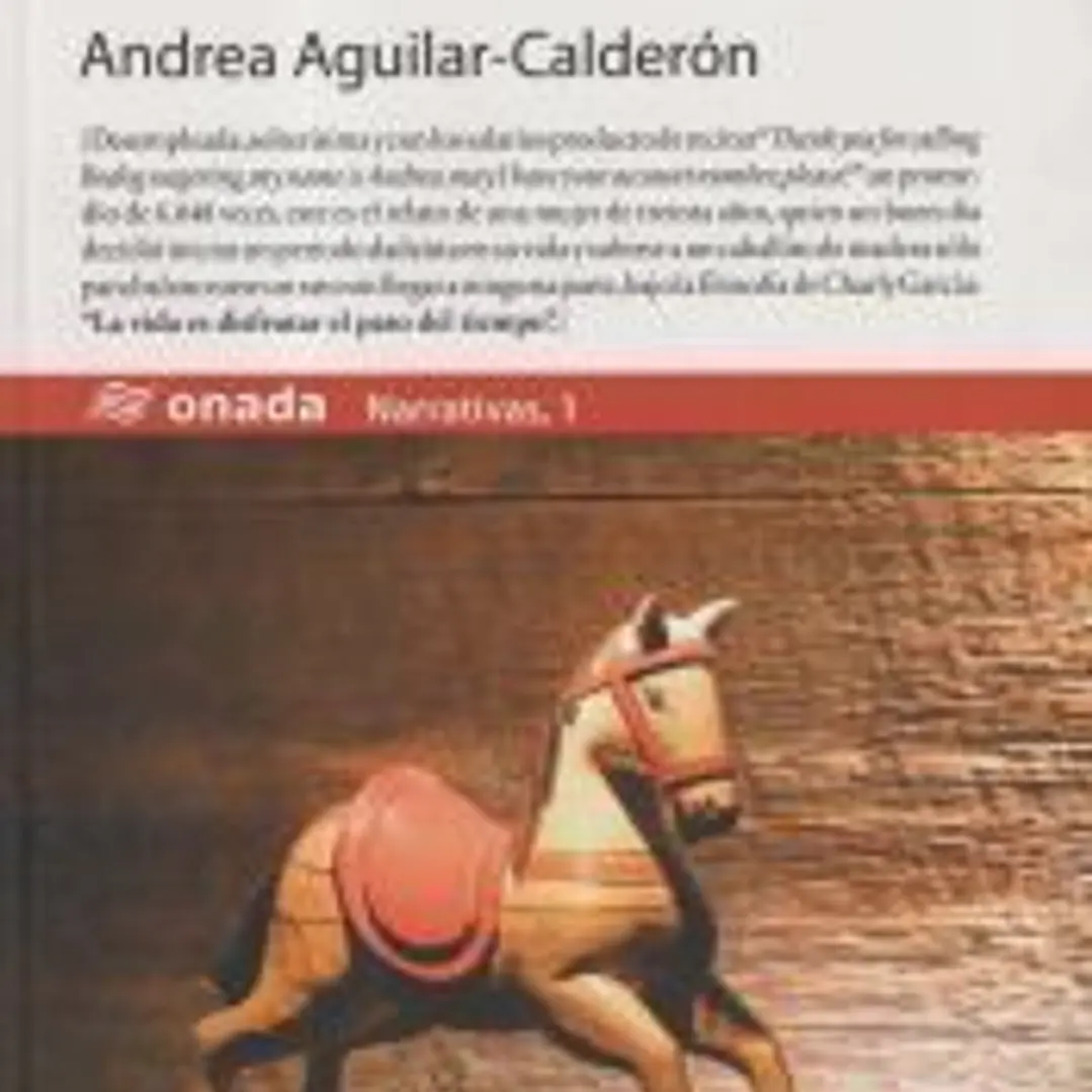 Sobre el caballito de madera 1
