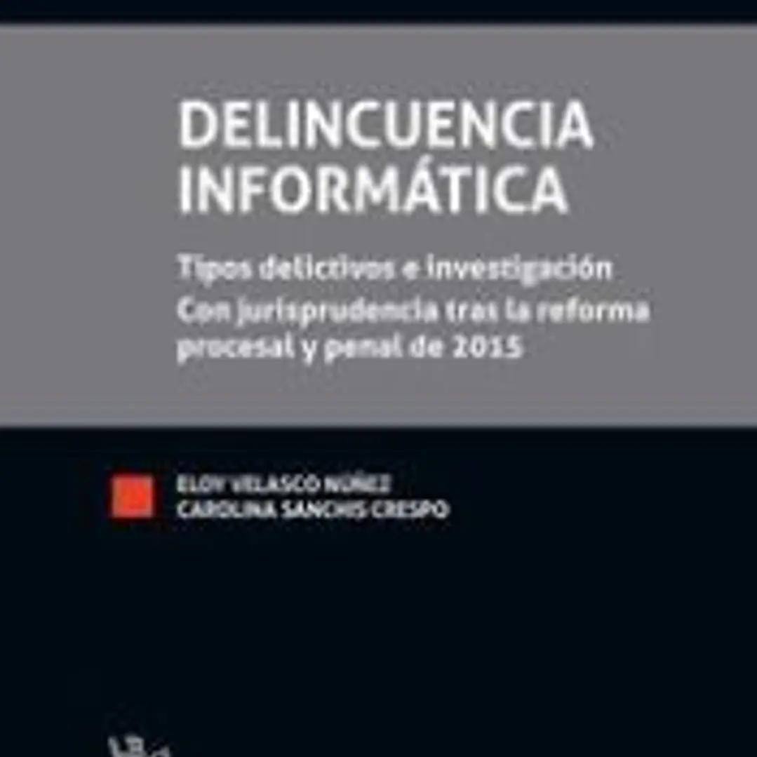 Delincuencia Informática 1