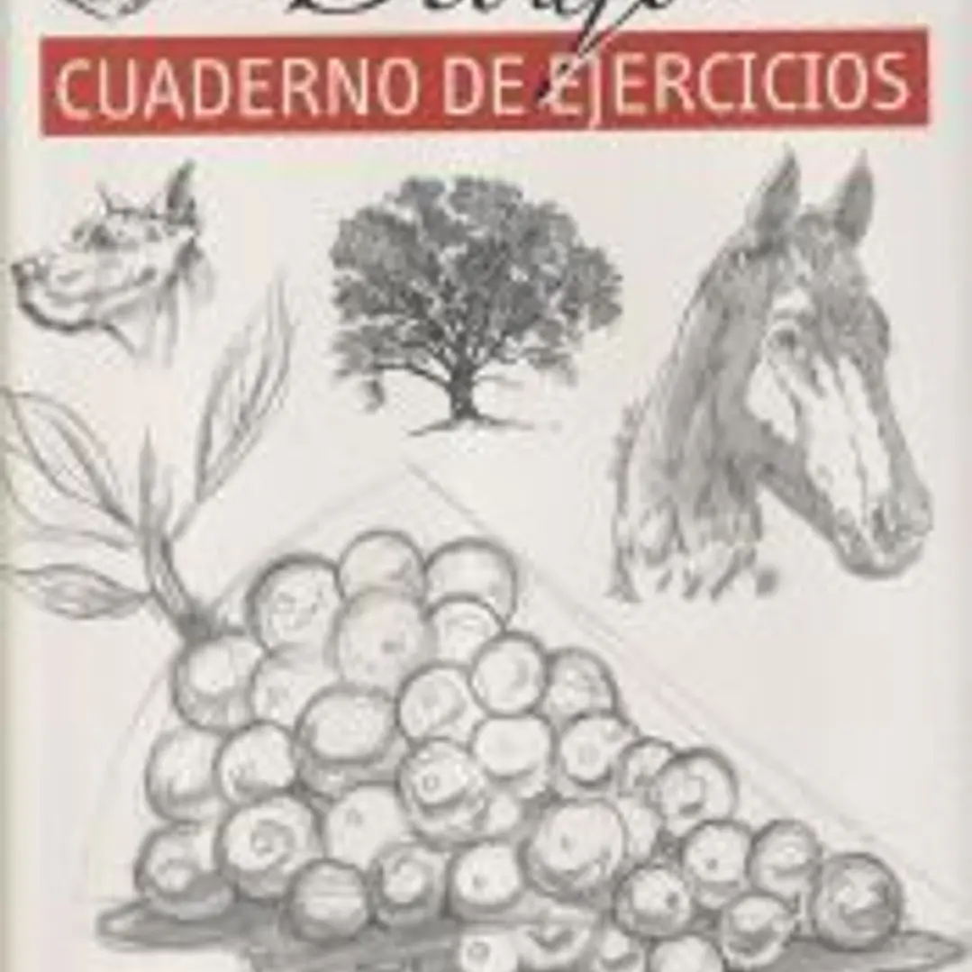 Guía completa de dibujo. Dibujo (ejercicios) 1