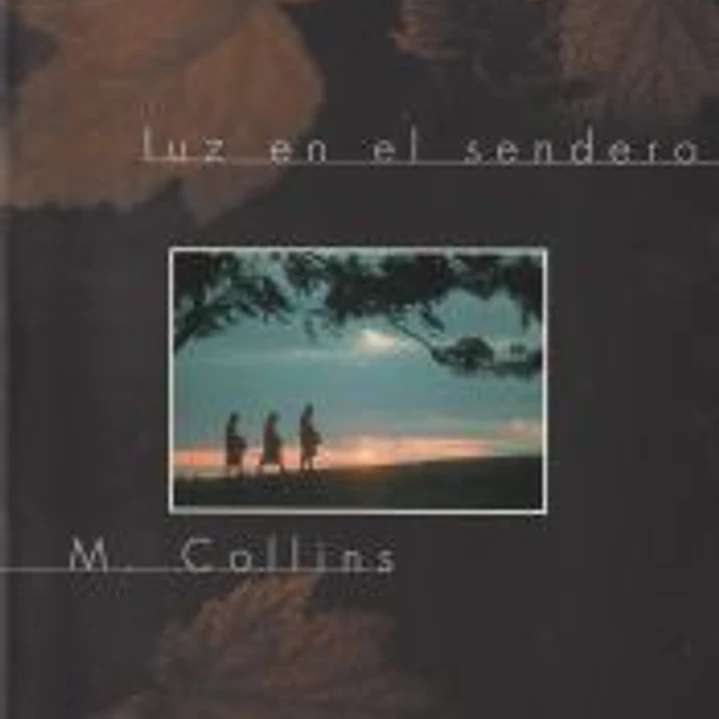 LUZ EN EL SENDERO 1