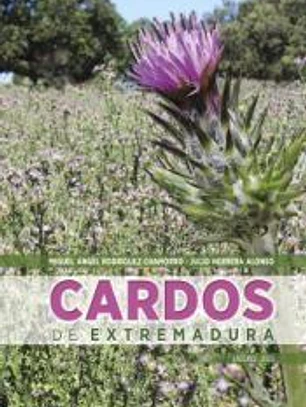CARDOS DE EXTREMADURA