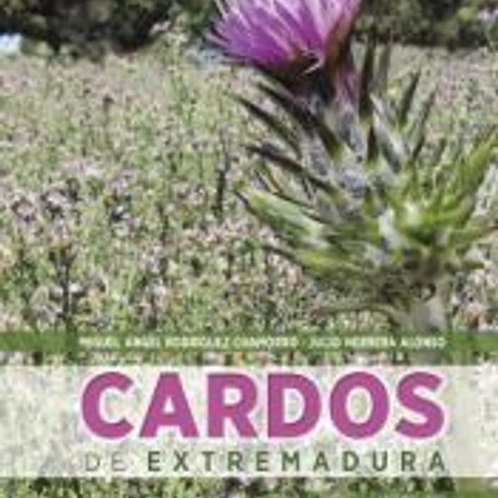 CARDOS DE EXTREMADURA 1