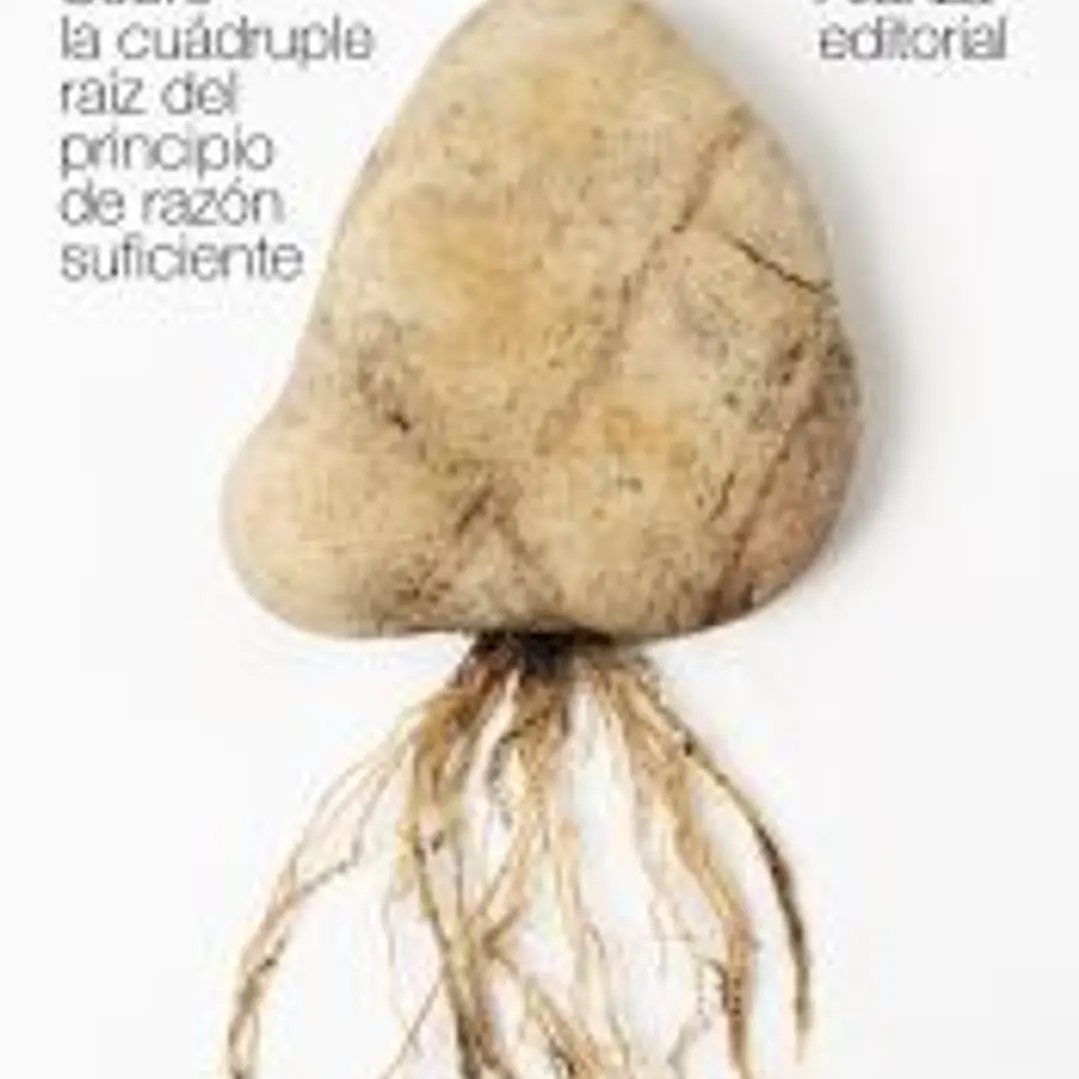Sobre la cuádruple raíz del principio de razón suficiente 1