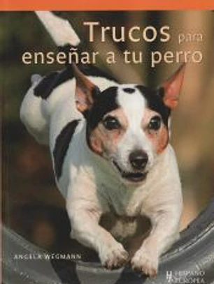 Trucos para enseñar a tu perro