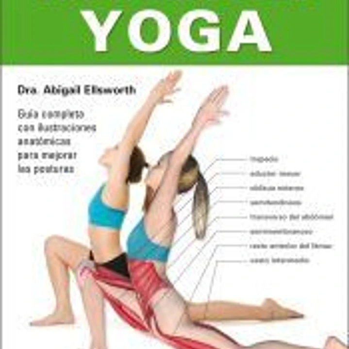 Anatomía del yoga 1