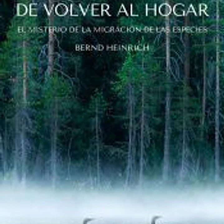 El instinto de volver al hogar 1