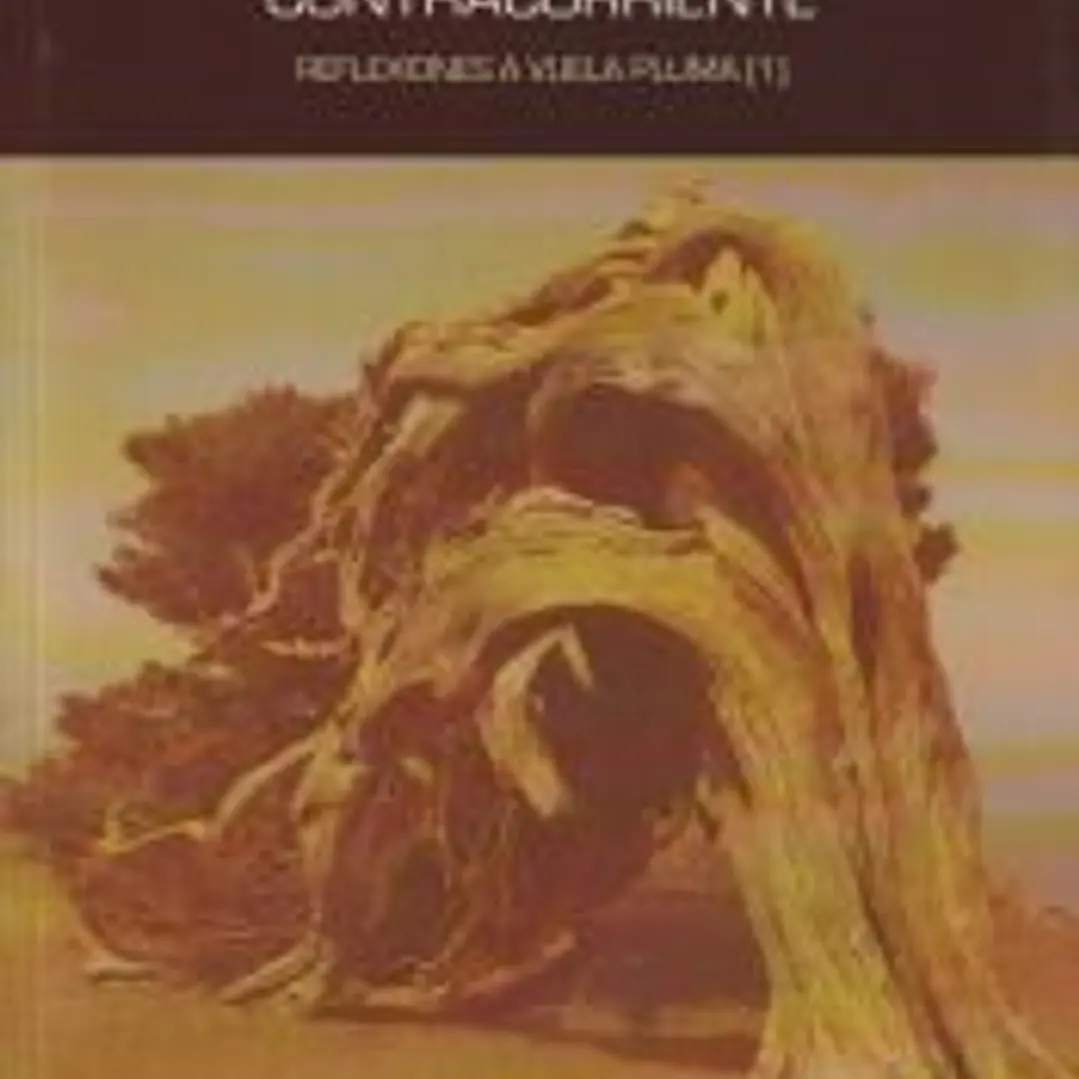 CONTRACORRIENTE. REFLEXIONES A VUELA PLUMA (1) 1