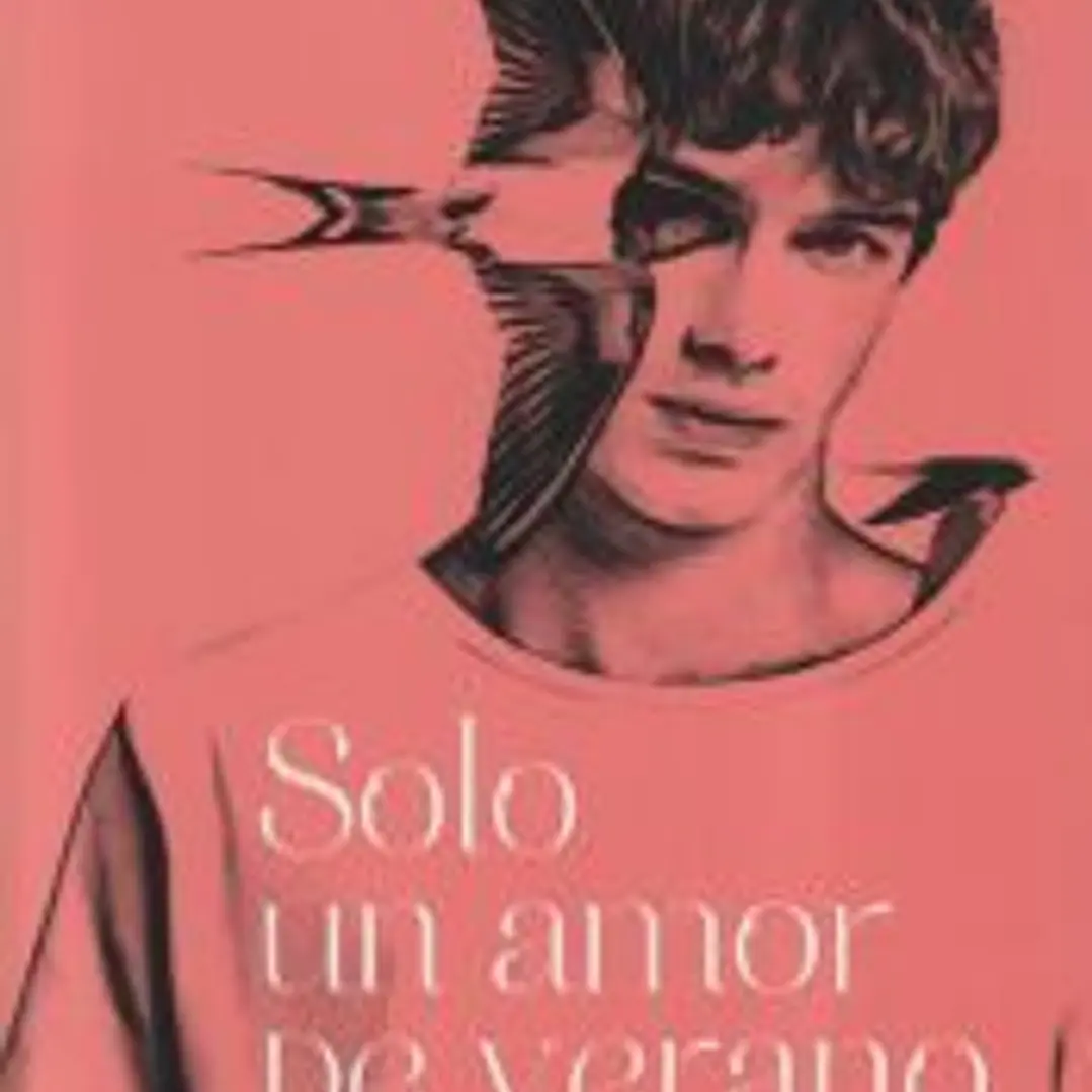 Solo un amor de verano 1