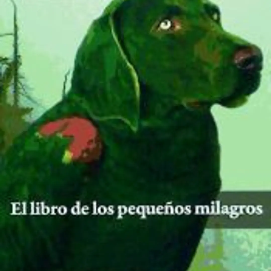 El libro de los pequeños milagros 1