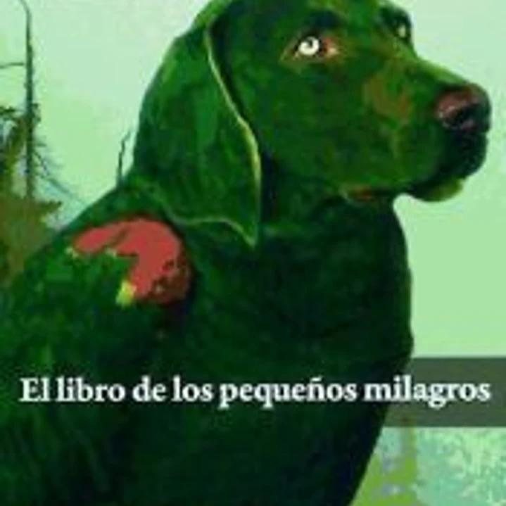 El libro de los pequeños milagros 1