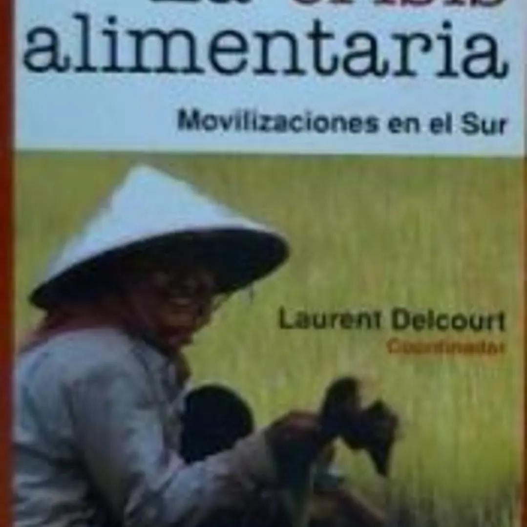 La crisis alimentaria: Movilizaciones en el Sur 1