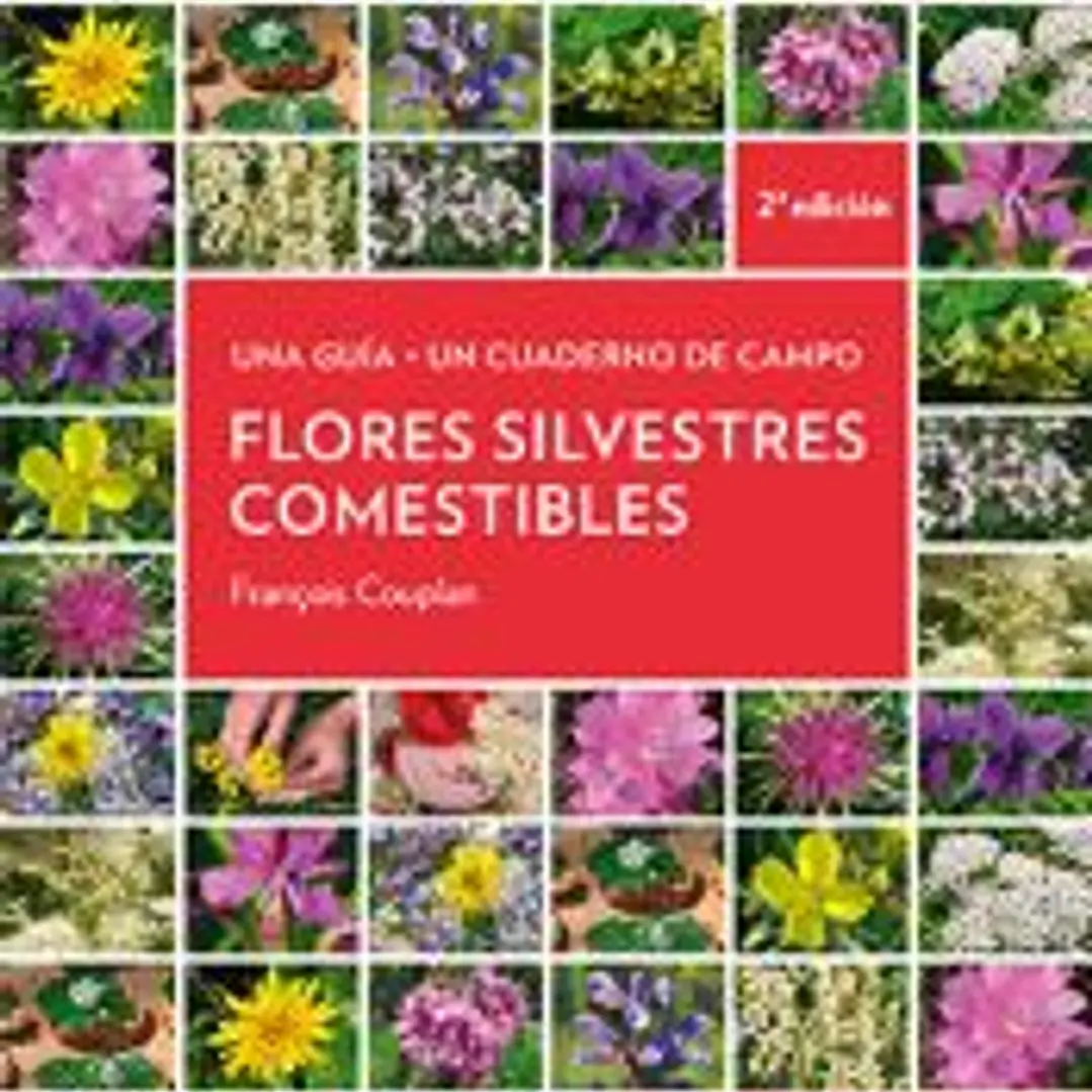 Flores silvestres comestibles 1