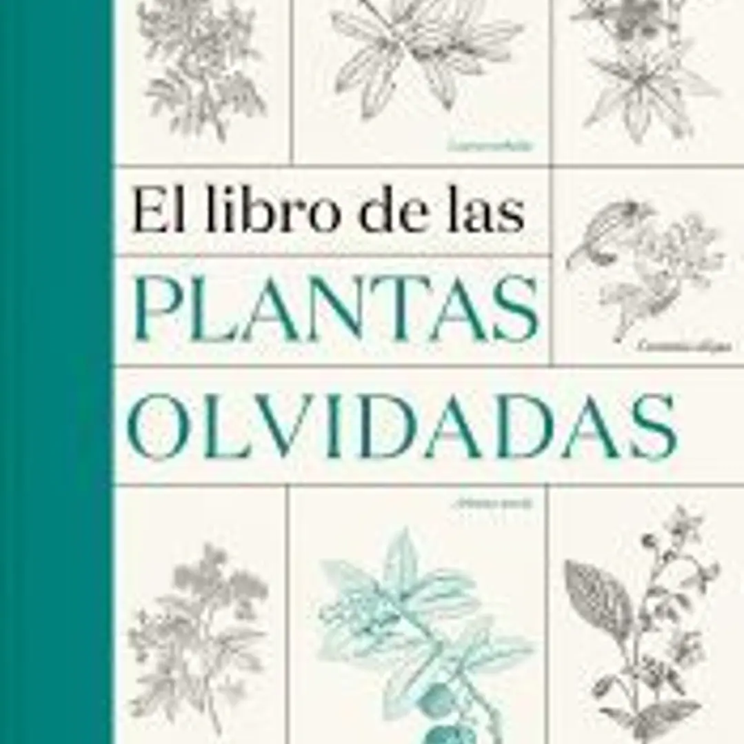 El libro de las plantas olvidadas 1