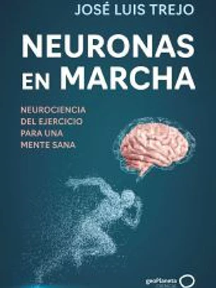 Neuronas en marcha