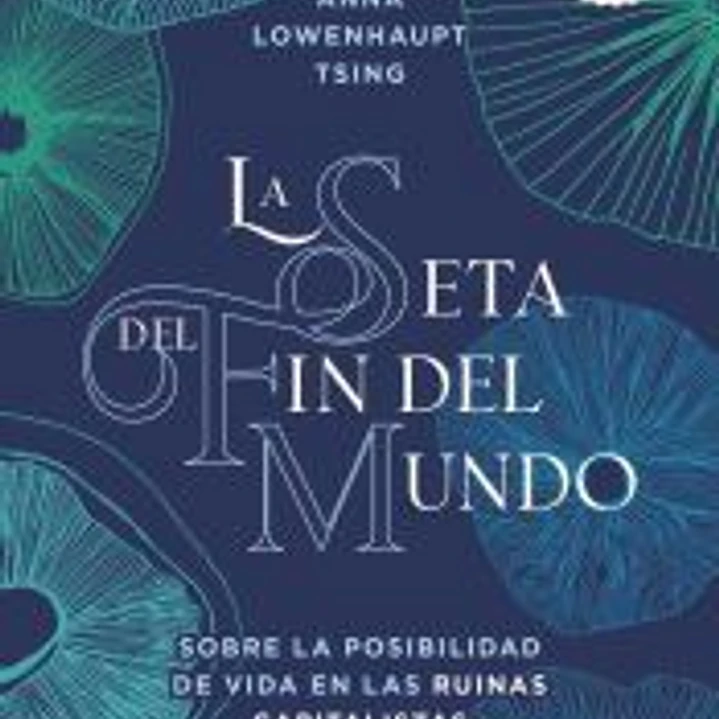 La seta del fin del mundo 1