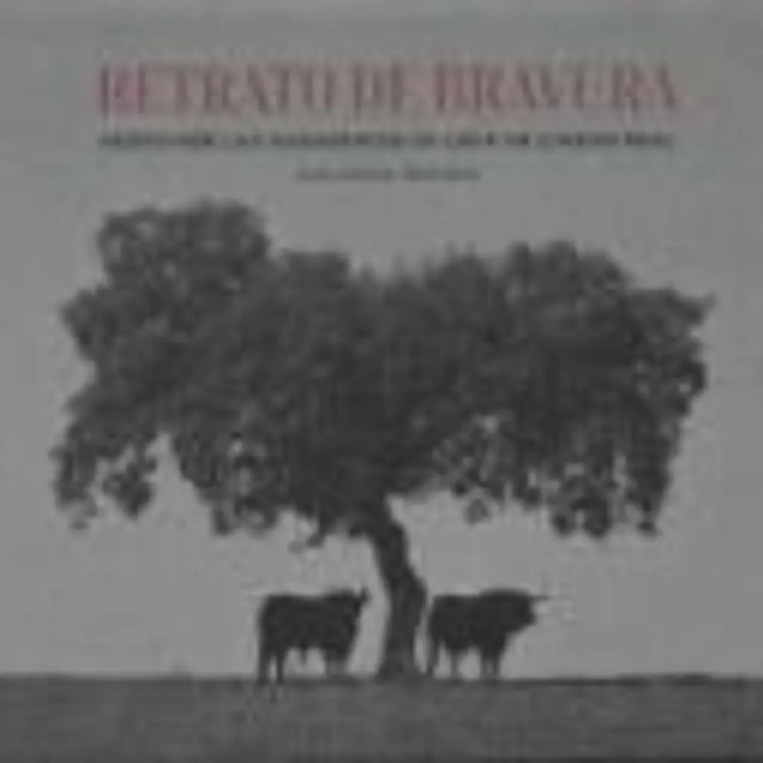 RETRATO DE BRAVURA: Paseo por las ganaderías de lidia en Ciudad Real 1