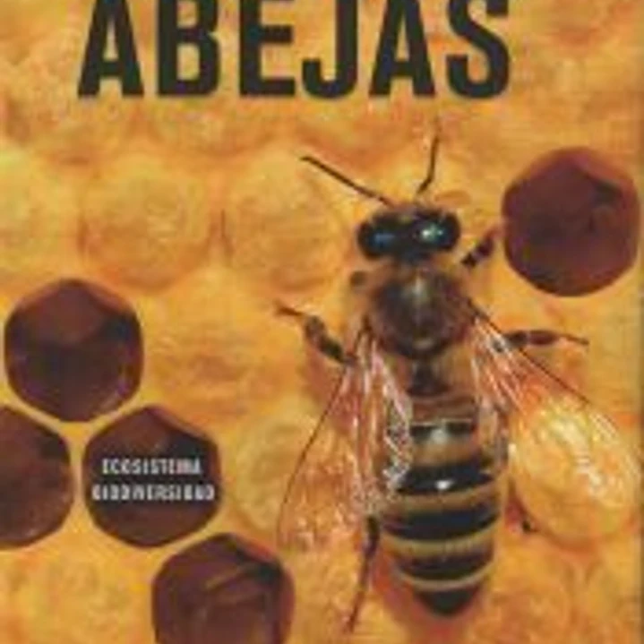 El Libro de las Abejas 1
