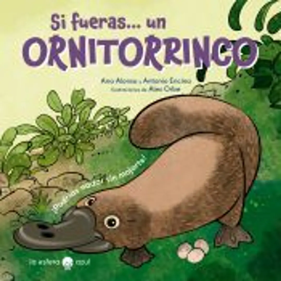 Si fueras... un ornitorrinco 1