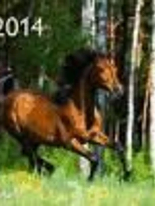 Calendario de pared 2014: Horses