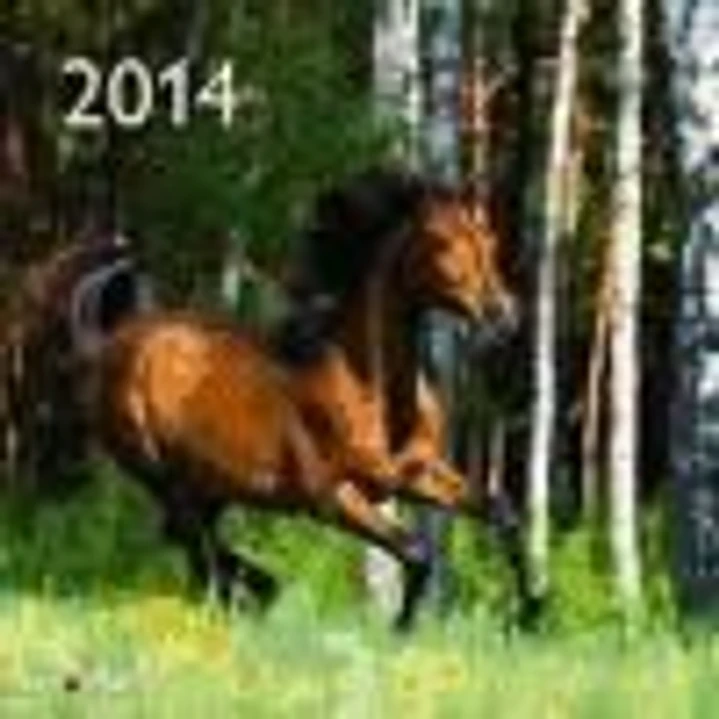 Calendario de pared 2014: Horses 1
