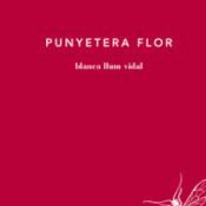 Punyetera flor 1