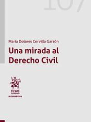 Una mirada al Derecho Civil