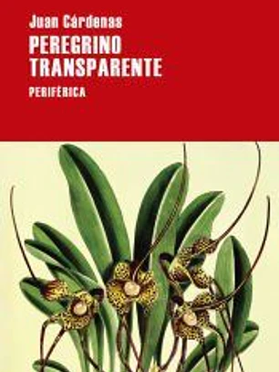 Peregrino transparente
