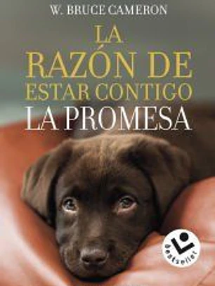 La razón de estar contigo. La promesa
